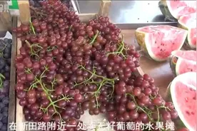 葡萄无籽是因为打了避孕药？真相原来是这样……视频封面