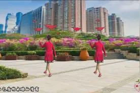 骄阳舞韵广场舞 花城姑娘（简单易学）原创反面