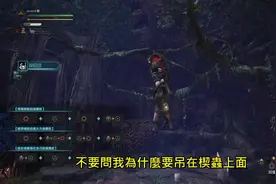 小刘的怪物猎人世界新手攻略：狩獵笛技巧与配裝分享视频封面