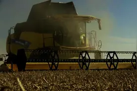 最大割幅达12.5米、粮箱容积达1.25万升的联合收割机图片