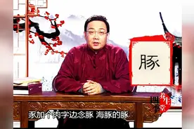 冬季养藏之——五畜之猪图片