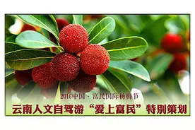 富民“杨梅节”回头看 乡村旅游是主角 人文特色唱大戏图片