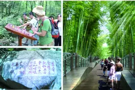我为看山来此地 传经还有旧阳明图片