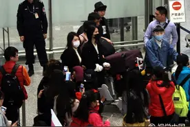 张碧晨口罩遮面打扮低调抵沪 粉丝举旗守候获男粉送玫瑰示爱图片