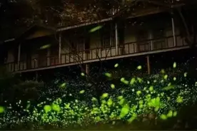 微语·精选毕业时，我用天下中药，赠你五色情诗！图片