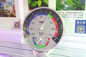 惊艳！这个学水产的妹子，开了一个像酒吧一样的水族工作室图片