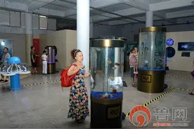 海洋精灵水母展 与您相约科技馆图片