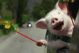 南宁地铁今天终~~于开通了！你们却不知道这和柳州有什么关系图片