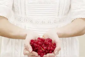 法媒揭秘不同种类的浆果:既有营养又美味图片