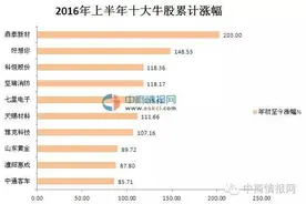 数据2016年上半年“十大牛股”VS“十大熊股”图片