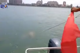 母亲海边看手机双胞胎姐妹失踪 24小时搜救结果出来了····视频封面