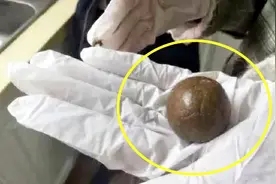 长期服用六味地黄丸，真的可以延年益寿吗？今天总算知道了视频封面