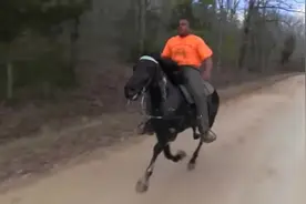 路遇一匹上等的走马，速度非常快视频封面