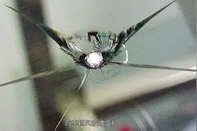 汽车玻璃损伤型裂缝，自己在家五分钟修复，4s店竟要价800块视频封面