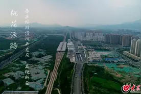 帅到哭！泰安这条路火了，汽车能与高铁并肩飞驰！视频封面