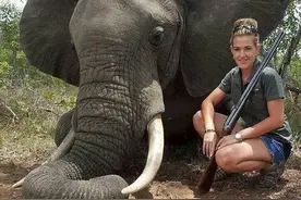 女猎手晒猎杀动物合照遭谴责 辩称是帮助动物（组图)图片