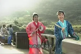 梁山伯与祝英台对唱山歌，祝英台都在歌中表白了，傻梁山伯还不知视频封面