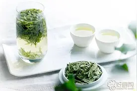 龙井茶如何冲泡图片
