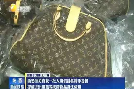 西安海关查获一批入境假冒名牌包 进出境旅客携带物品遵法依规视频封面