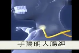 十二经脉-手阳明大肠经3D动图及各穴位说明视频封面