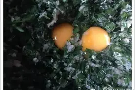 肉球妈花样私厨第194餐剩饺子的春天，脆皮煎饺！图片