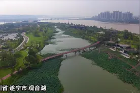 农村随访记：航拍四川省遂宁市观音湖，满塘荷花太美了！