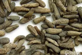 牛蒡子的食疗偏方图片