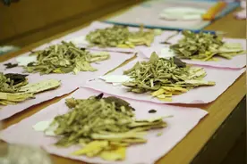 中药也会毁掉你的胃图片
