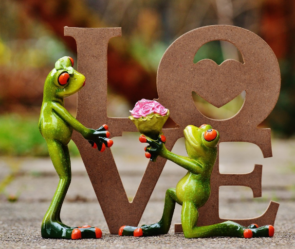 ����û������������ �������߻�����