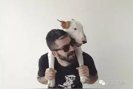 视觉频道| 宠物摄影：一个大写的“萌”图片