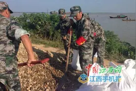 永修县三溪桥镇纪委书记刘石头抗洪抢险工作纪实图片