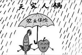 关注天灾来袭，种植大户如何将损失降到最低？图片