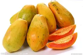 木瓜的功效及几种吃法图片