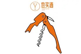 最快速最时髦的冰酒方法大全！图片