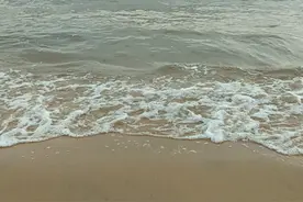 山东威海环海路真心不错！空气好，海水干净！沙滩游泳免费。
