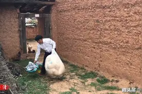 中国身体力行做善事十几年的大善人～～王子清视频封面