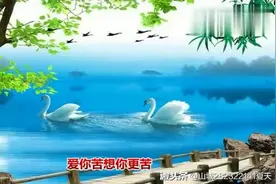 风语一首《相思河》听着黯然泪下，听醉了视频封面