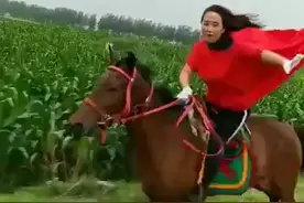 中秋来临，祝福友们节日快乐，阖家幸福，健康相伴。暮雨敬上视频封面