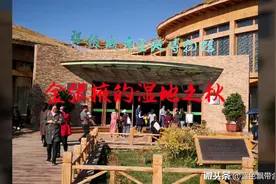 张掖湿地太美了，国庆节日每天游客上万，是大西北戈壁一景！