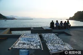 实拍浙东原生态渔村 “海景房”空置爬山虎满墙图片