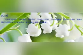 新古典家具.欧美家具.家具图片