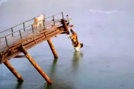 两只傻猫咪去湖里抓鱼，无奈湖水将鱼冻住，这下可急坏了图片