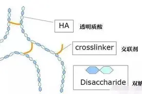 大热的单相玻尿酸，你了解吗？图片