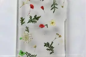 自然之美，干花滴胶手机壳DIY丨醉花间图片