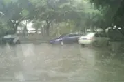 风雨中，将所有凝成回忆时的浅笑安然图片