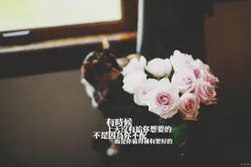 用我麻醉的心爱着你图片