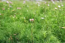 现实版开心农场亲子一日游喽～图片