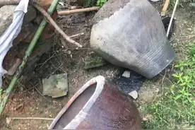 砸得一手好缸，多肉微景观之破缸图片