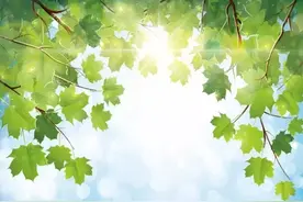 追影 | 饭局上做的梦图片