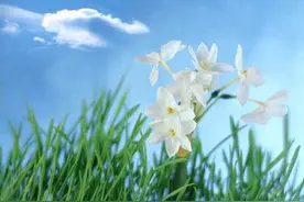 每日段子：哥们，你今后好自为之吧。图片